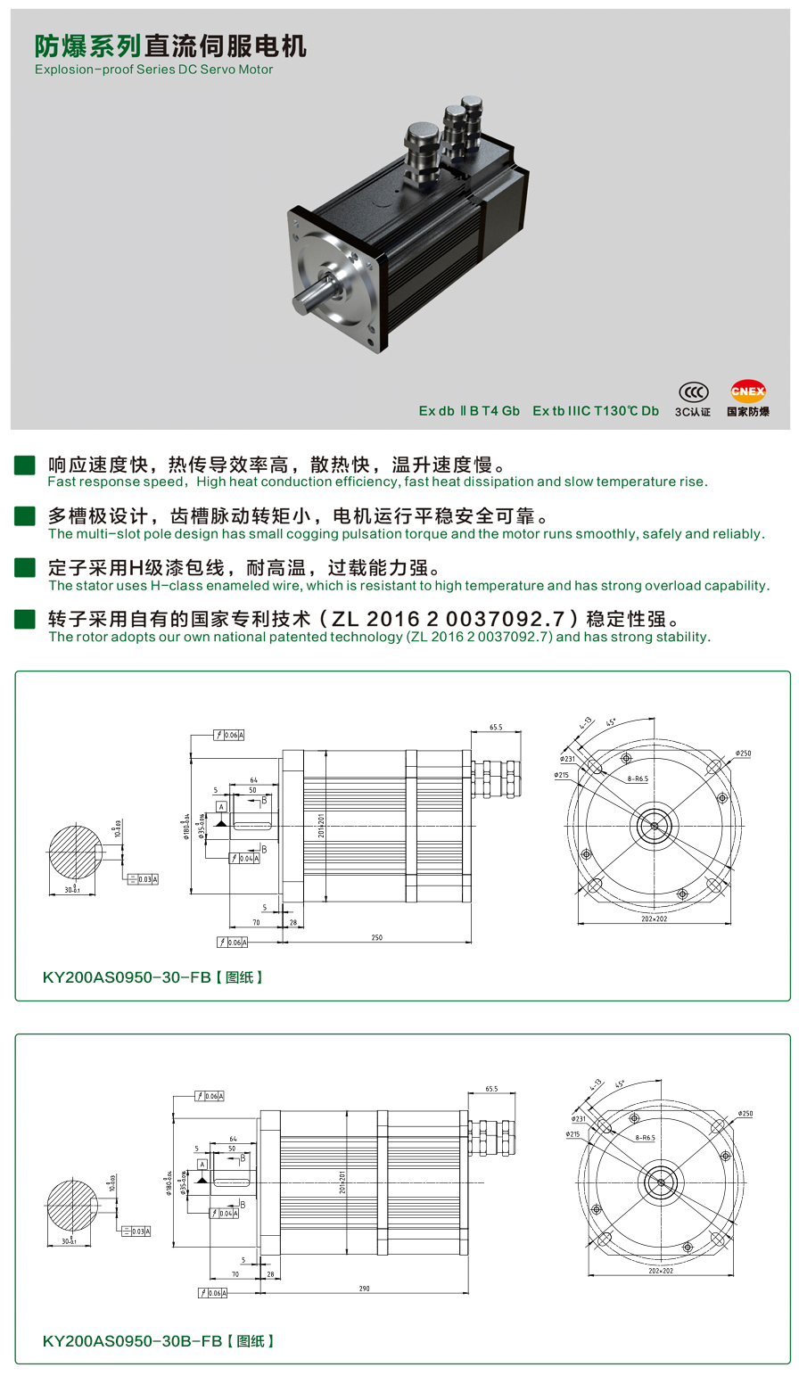 200防爆0950-30伺服電機(jī).jpg